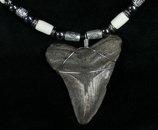 Megalodon Tooth Necklace - #6366